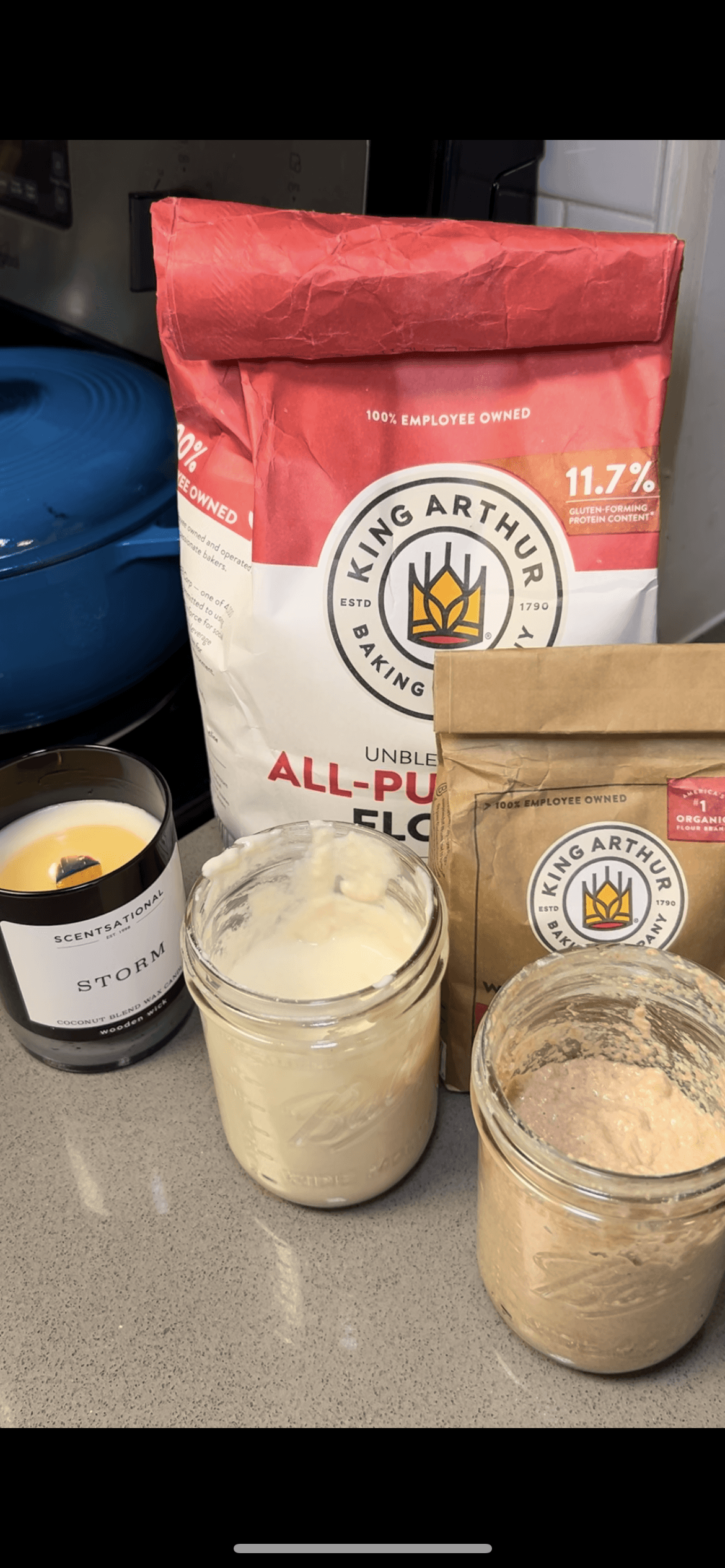 Sourdough starter ingredients